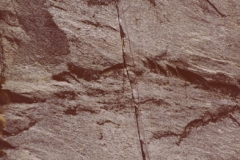 aimbqu19840800_12