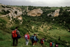 aimsar19940500_01