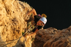 arrbas20121125_05