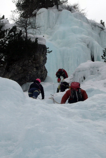 casghi20110129_01